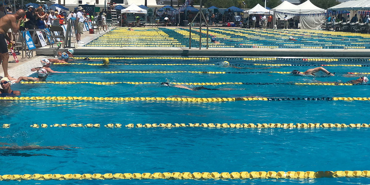 Swimmers in pool racing